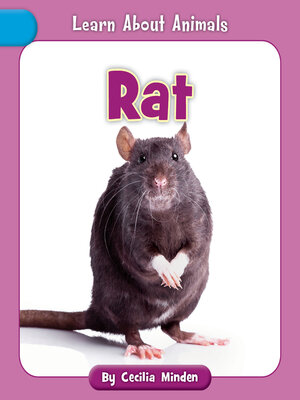 cover image of Rat